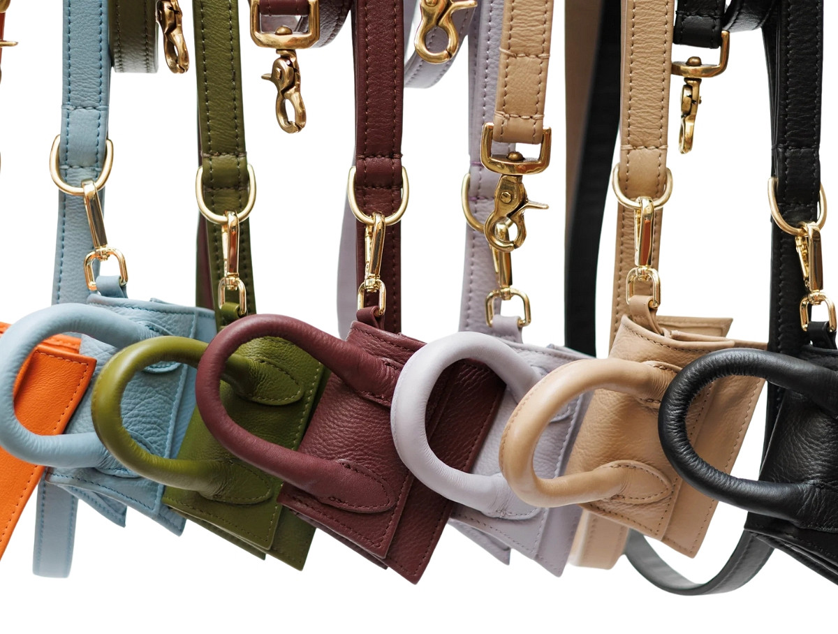 Les Accessoires de Luxe pour Chiens : Un Monde de Raffinement et de Confort